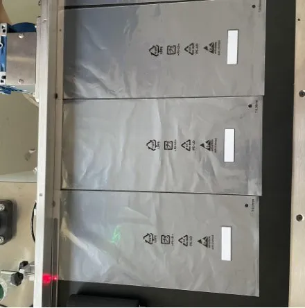 Automatic Vacuum Page-Feeding Labeling Machine — Soft bags with labels
