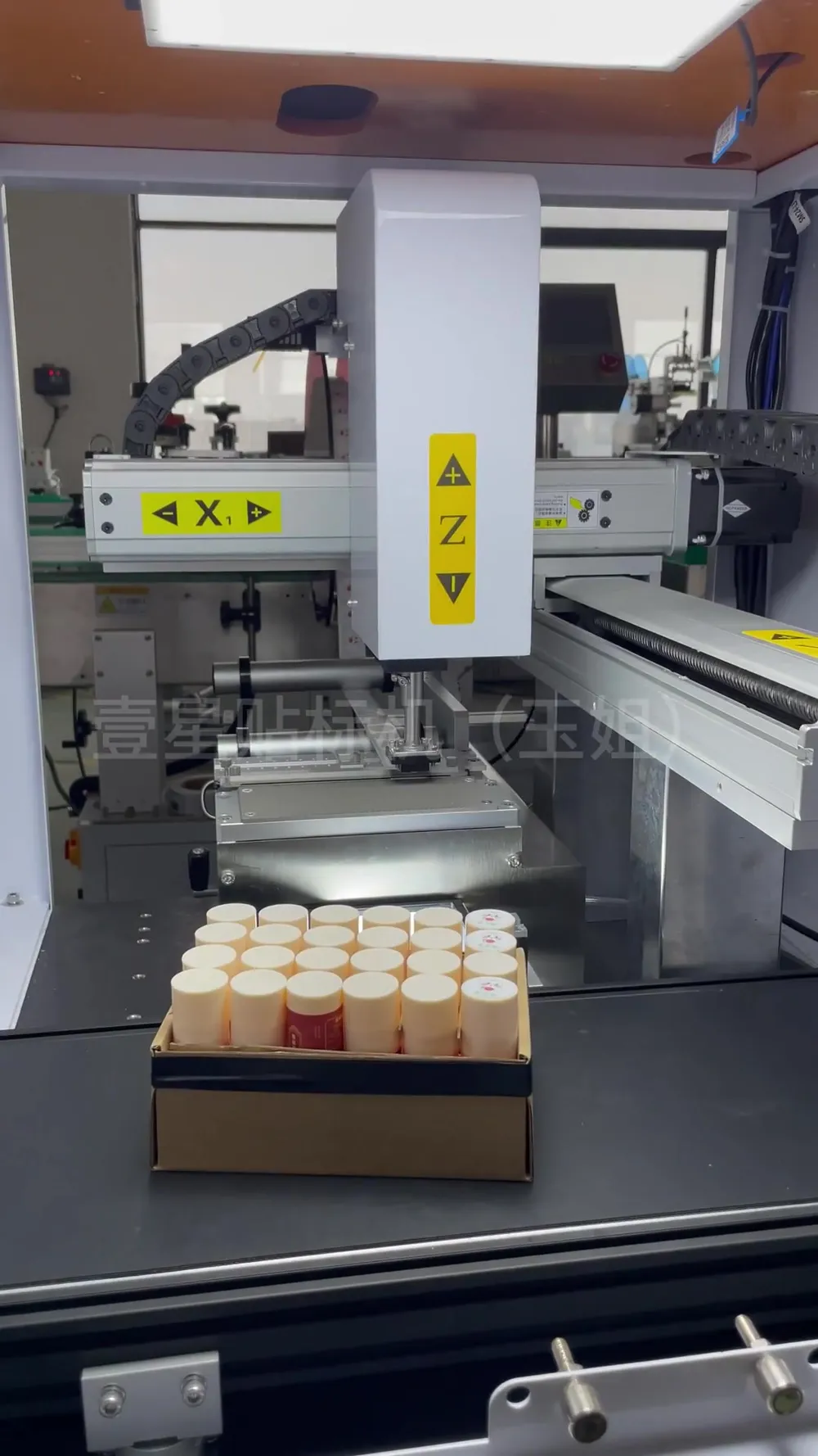 Vision-Guided Precision Labeling Machine — Factory demo video still